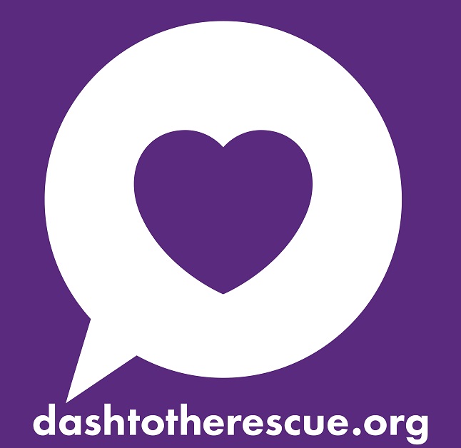 DASH to the Rescue