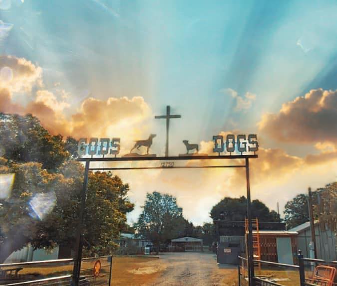 God's Dogs Rescue
