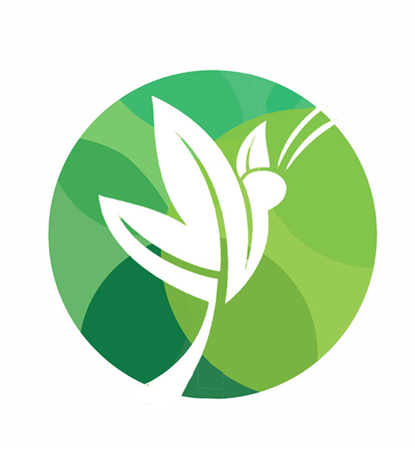 Emerge Global