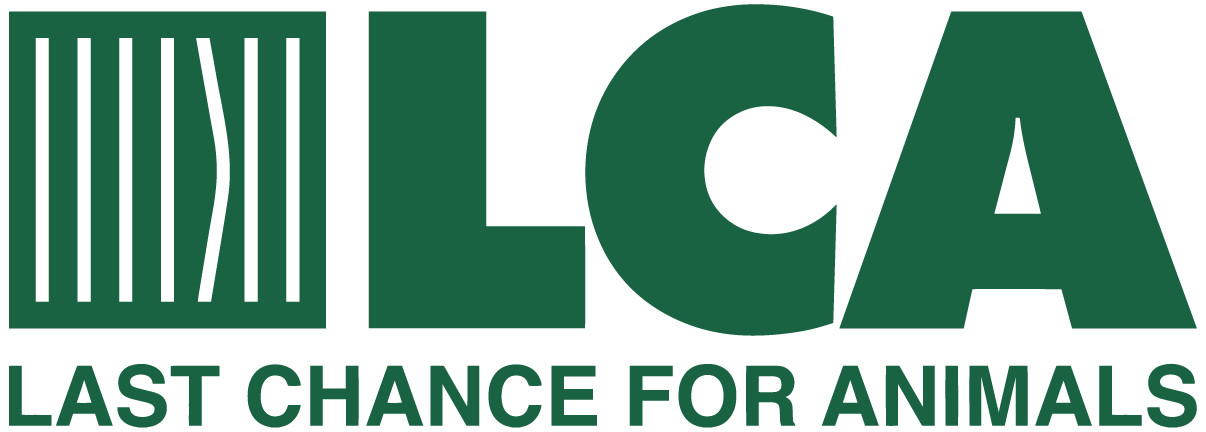 Last Chance for Animals
