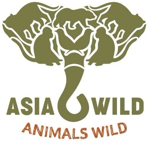 Asia Wild