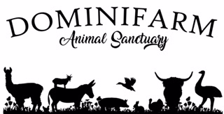 Dominifarm Animal Sanctuary, Inc.