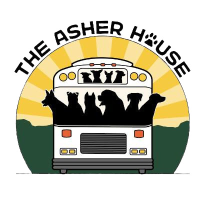 Asher House Sanctuary
