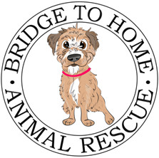 Bridge To Home Animal Rescue