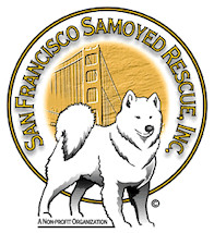 San Francisco Samoyed Rescue