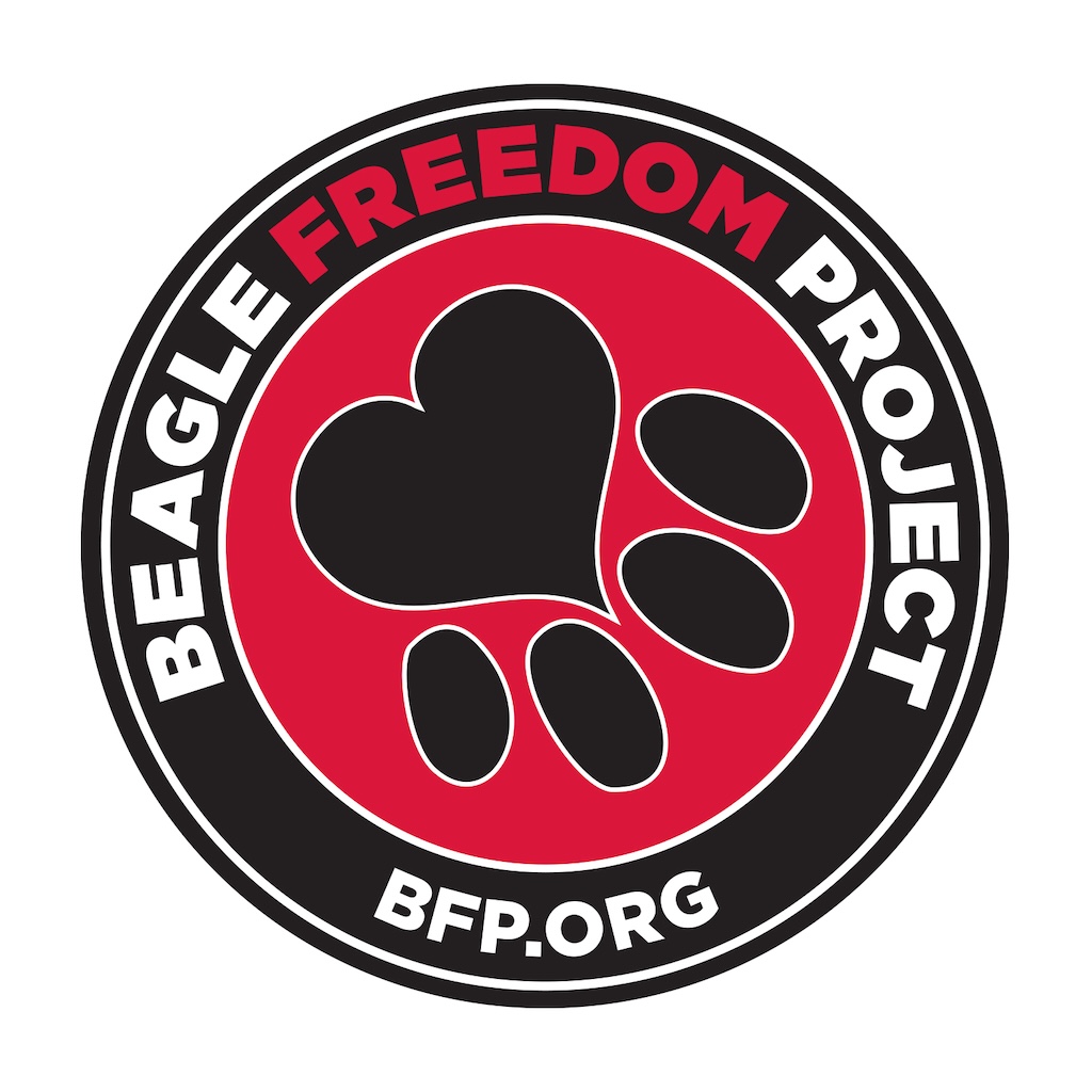Beagle Freedom Project