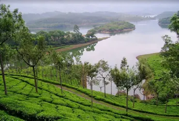 MOUNTAIN BIKE IN MUNNAR