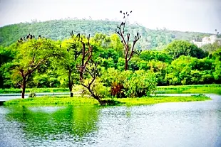 Pashan Lake