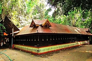 Mannarasala Temple