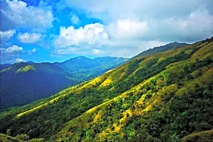 Pakshipathalam Bird Sanctuary