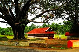 Valliyurkkavu Thazhey Bhagavathi Temple