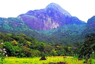 Agasthyakoodam Peak