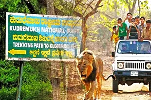 Kudremukh National Park