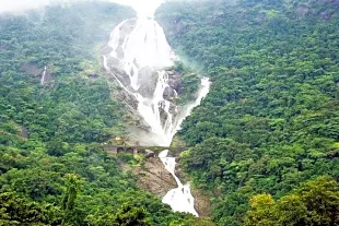 kunchikal-falls