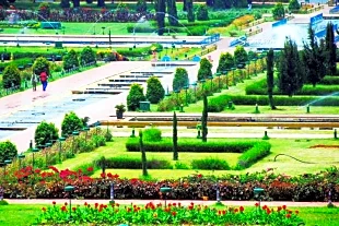 Brindavan Gardens