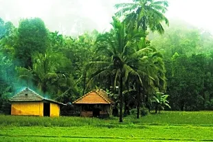 Agumbe