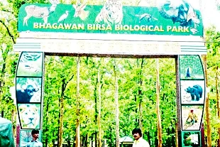 Bhagawan Birsa Biological Park Zoo