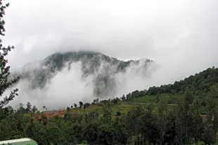 Yercaud Hill Station