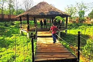 Yelagiri - Nature Park