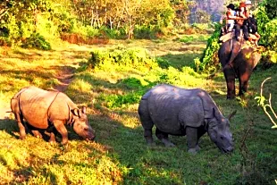 Cotigao Wildlife Sanctuary