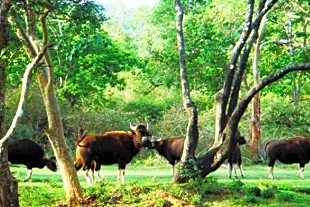 Trishna Wildlife Sanctuary