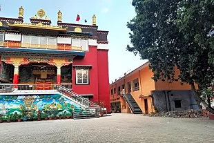 Tibetan Homes School