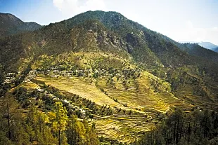 Gajoli Village