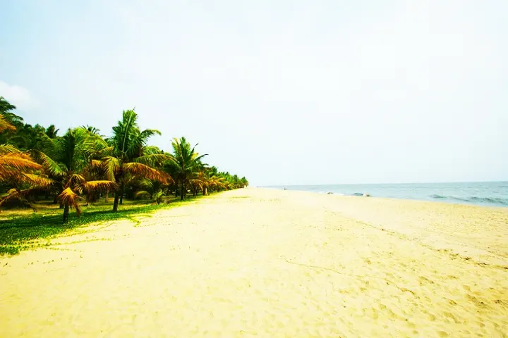 tourist places in kerala alappuzha