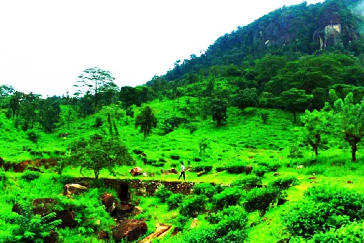 ponmudi hills tourist places