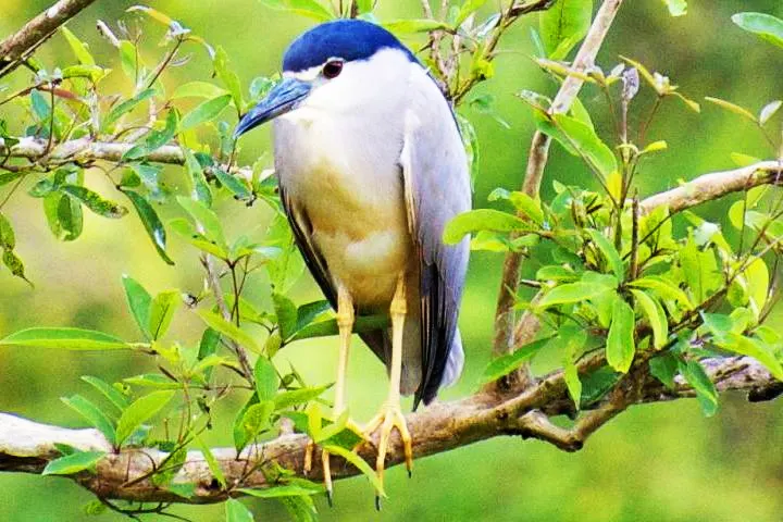 sirsi dam tourist place