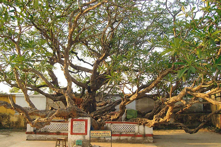 tourist places in mayapur nabadwip