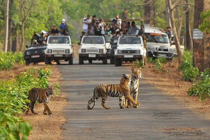 yavatmal tourist places