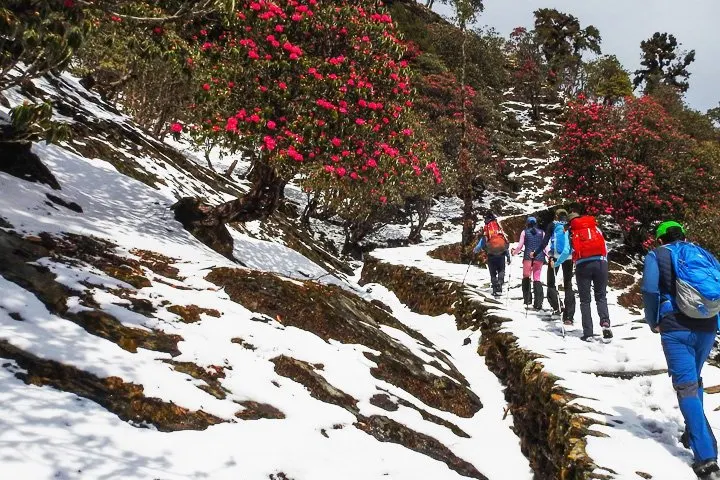 chopta uttarakhand tourist places