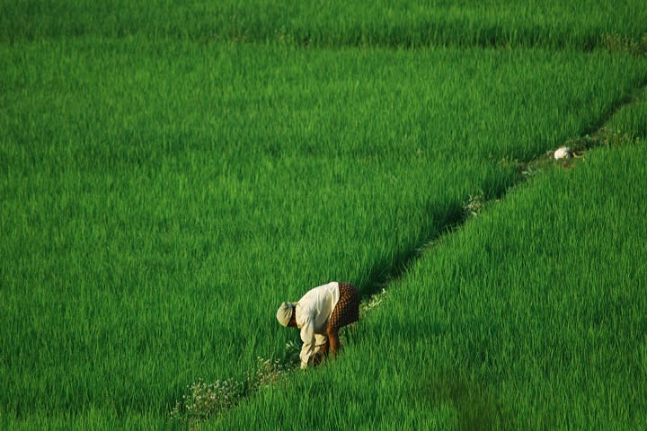 Bahadarabad