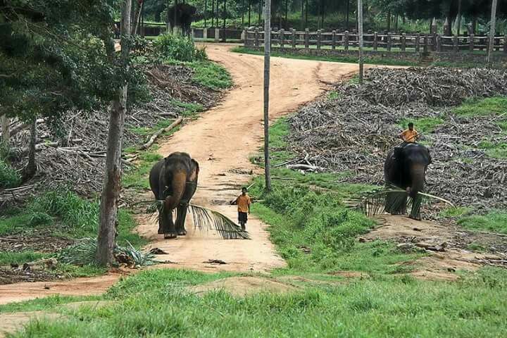 NAWAGARH