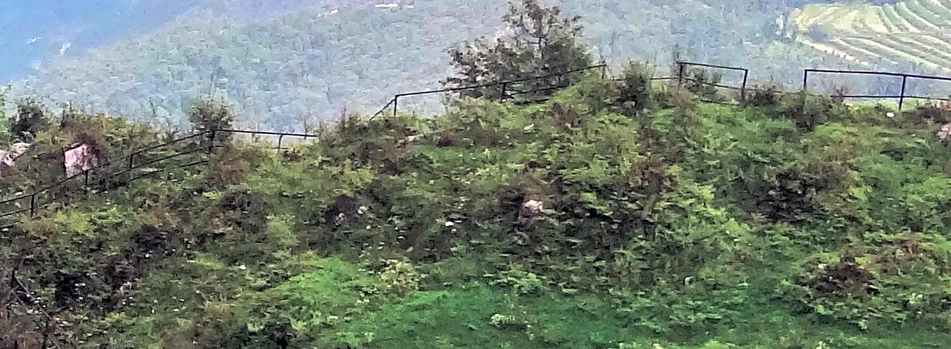 Dhanaulti