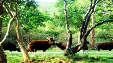 Trishna Wildlife Sanctuary