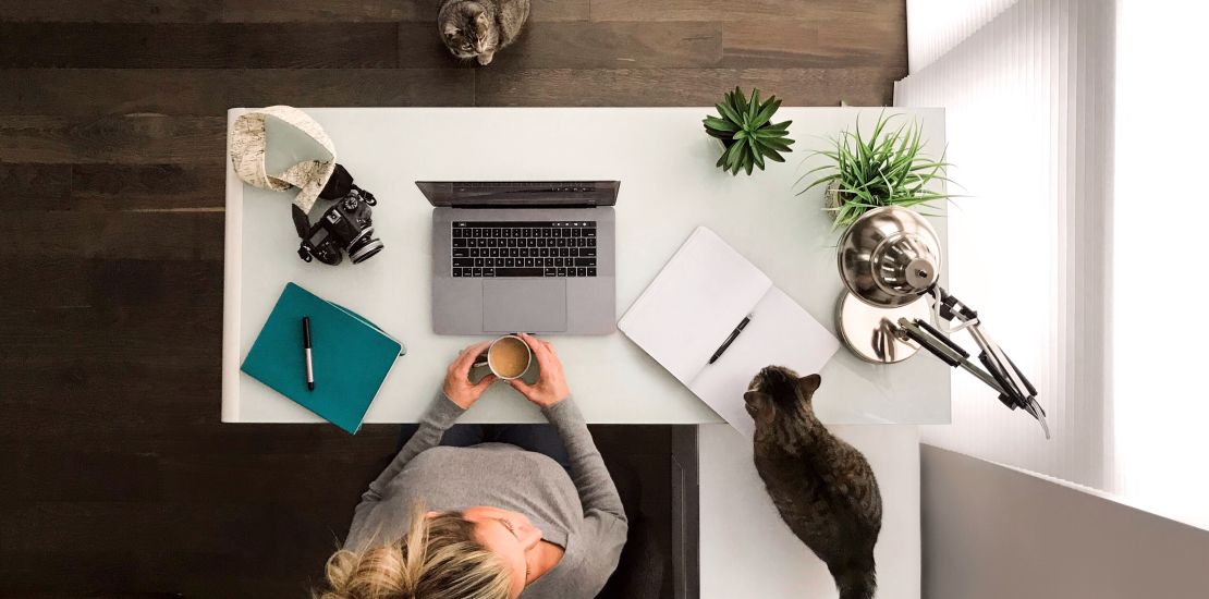 A woman working from home sits at a desk with a laptop and notebook. She is looking at a cat on her desk, and there is a second cat on the ground.