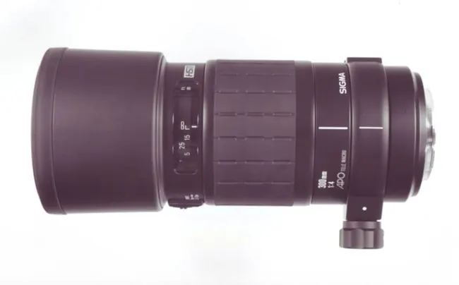 Sigma AF 300mm f/4 APO Macro /HSM