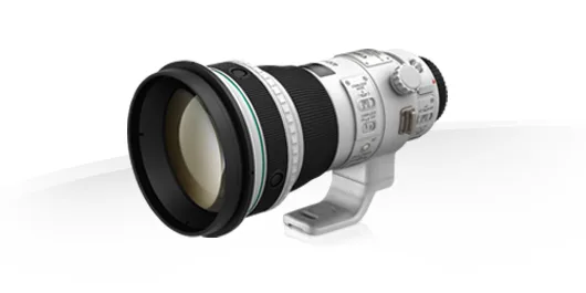 Canon EF 400mm f/4 DO IS II USM