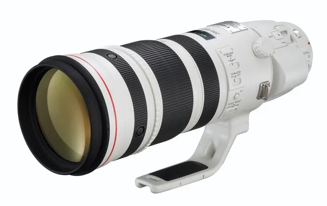 Canon EF 200-400mm f/4 L IS USM