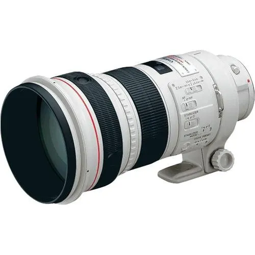 Canon EF 300mm f/2.8 L IS II USM