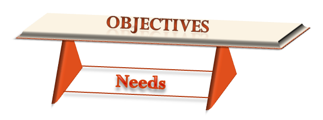 Needs-and-Objectives - Check N Click Learning and Technologies Pvt. Ltd.