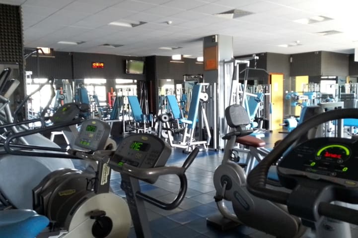 Palestra Link