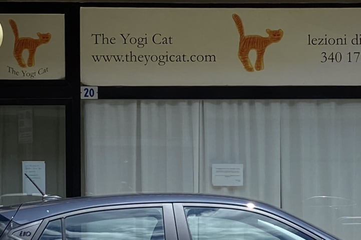 The Yogi Cat