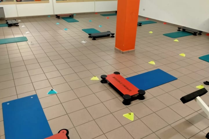 Palestra Elisa