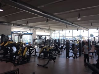 Great Gym Active