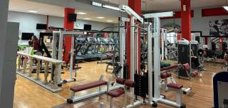 New Paco's Gym