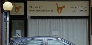 The Yogi Cat