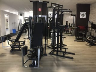 The Animal's Gym